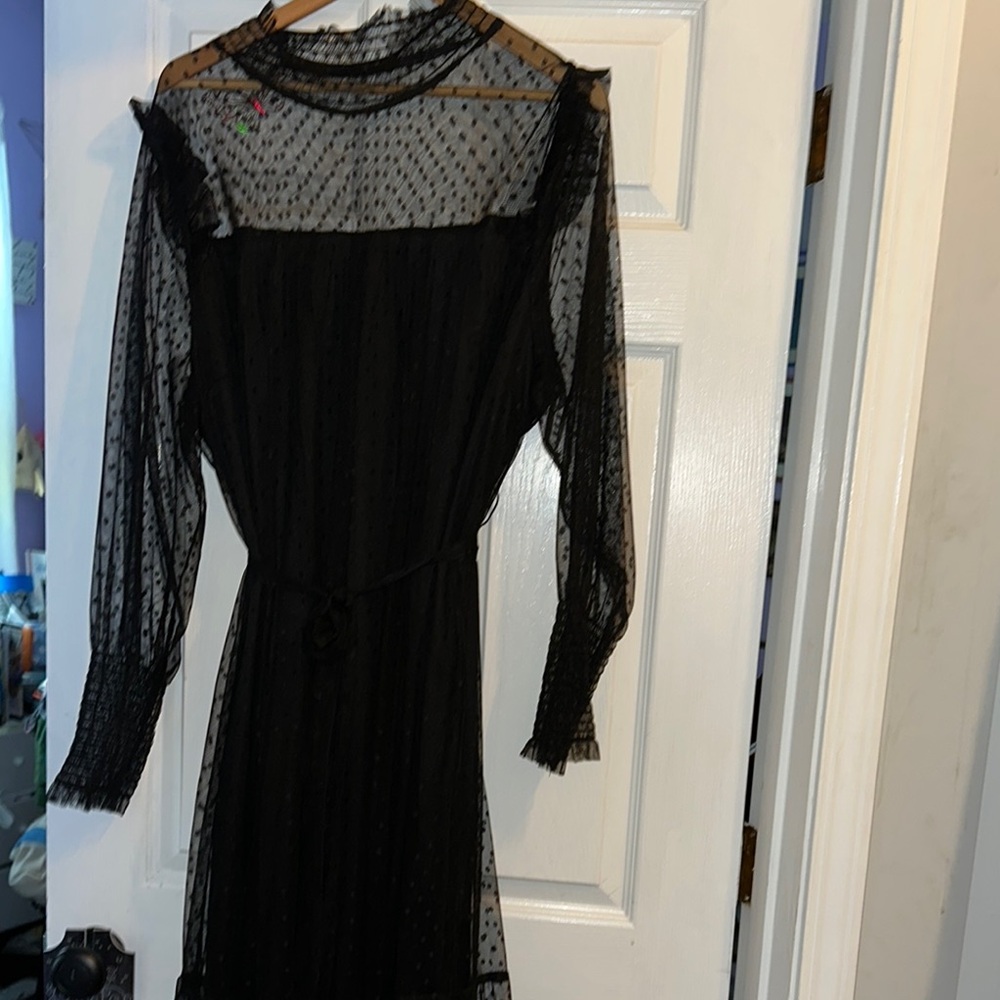 Elegant Black Sheer Dress